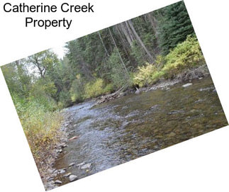 Catherine Creek Property