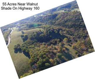 55 Acres Near Walnut Shade On Highway 160