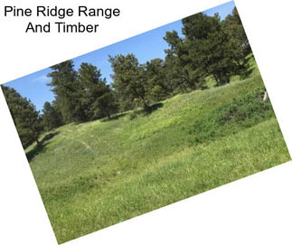 Pine Ridge Range And Timber