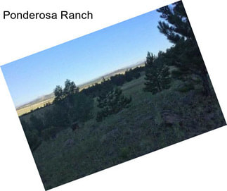 Ponderosa Ranch