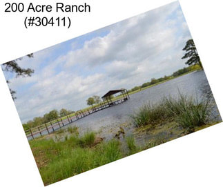 200 Acre Ranch (#30411)