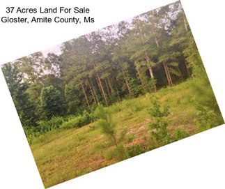 37 Acres Land For Sale Gloster, Amite County, Ms