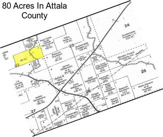 80 Acres In Attala County