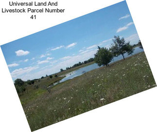 Universal Land And Livestock Parcel Number 41