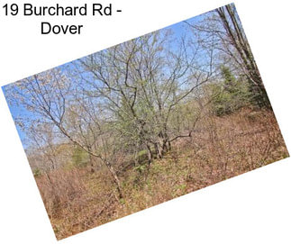 19 Burchard Rd - Dover