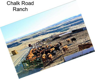 Chalk Road Ranch