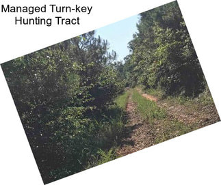 Managed Turn-key Hunting Tract
