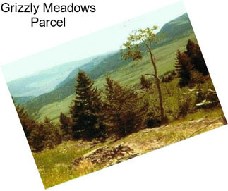 Grizzly Meadows Parcel