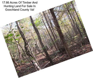 17.66 Acres Of Timber And Hunting Land For Sale In Goochland County Va!