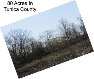 80 Acres In Tunica County