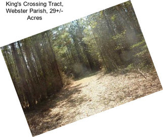 King\'s Crossing Tract, Webster Parish, 29+/- Acres