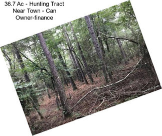 36.7 Ac - Hunting Tract Near Town - Can Owner-finance