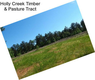 Holly Creek Timber & Pasture Tract