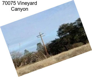 70075 Vineyard Canyon