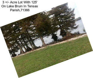 3 +/- Acre Lot With 125\' On Lake Bruin In Tensas Parish,71366