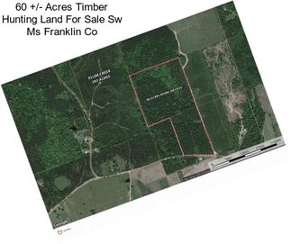 60 +/- Acres Timber Hunting Land For Sale Sw Ms Franklin Co