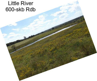 Little River 600-skb Rdb