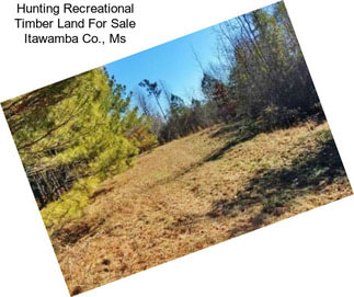 Hunting Recreational Timber Land For Sale Itawamba Co., Ms