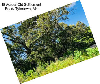 48 Acres/ Old Settlement Road/ Tylertown, Ms
