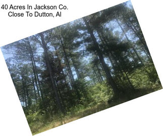 40 Acres In Jackson Co. Close To Dutton, Al