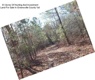 61 Acres Of Hunting And Investment Land For Sale In Greensville County Va!