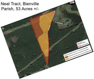 Neal Tract, Bienville Parish, 53 Acres +/-