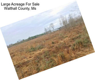 Large Acreage For Sale Walthall County, Ms
