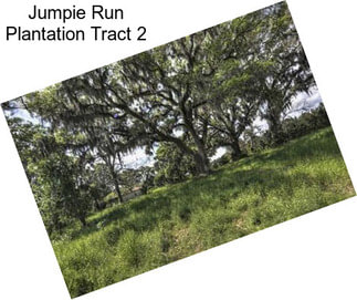 Jumpie Run Plantation Tract 2