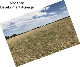 Monahan Development Acreage