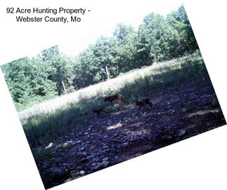 92 Acre Hunting Property - Webster County, Mo