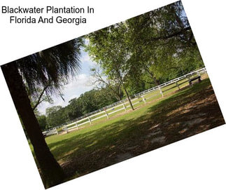 Blackwater Plantation In Florida And Georgia