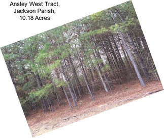 Ansley West Tract, Jackson Parish, 10.18 Acres