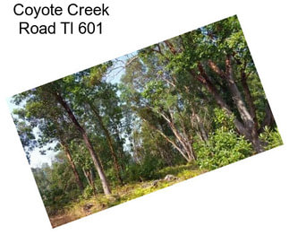 Coyote Creek Road Tl 601