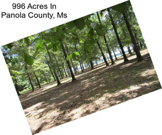 996 Acres In Panola County, Ms