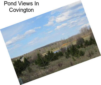 Pond Views In Covington