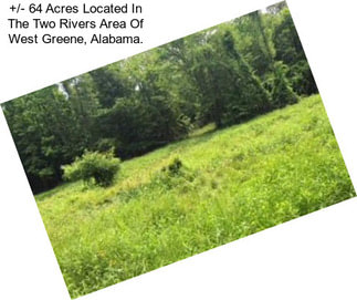 +/- 64 Acres Located In The Two Rivers Area Of West Greene, Alabama.