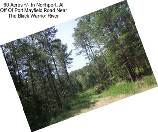 60 Acres +/- In Northport, Al Off Of Port Mayfield Road Near The Black Warrior River