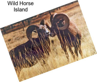 Wild Horse Island