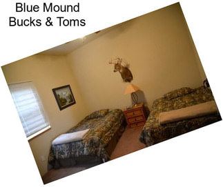 Blue Mound Bucks & Toms