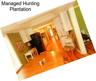 Managed Hunting Plantation