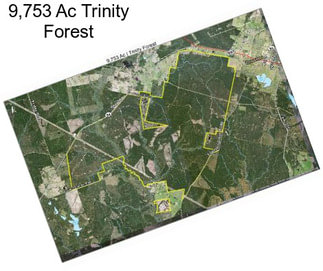 9,753 Ac Trinity Forest