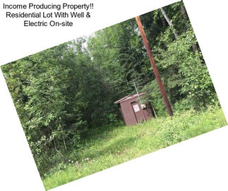 Income Producing Property!! Residential Lot With Well & Electric On-site