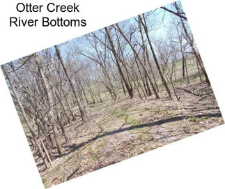 Otter Creek River Bottoms