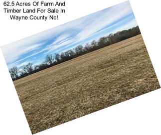 62.5 Acres Of Farm And Timber Land For Sale In Wayne County Nc!