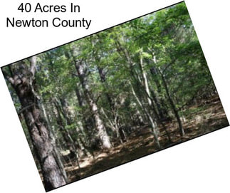 40 Acres In Newton County