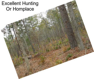 Excellent Hunting Or Homplace