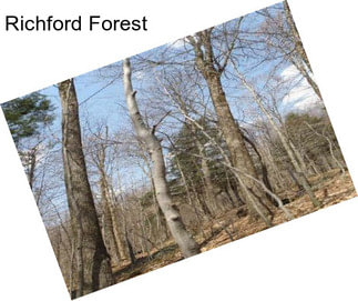 Richford Forest