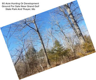 80 Acre Hunting Or Development Ground For Sale Near Grand Gulf State Park And Thayer, Mo