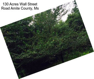130 Acres Wall Street Road Amite County, Ms