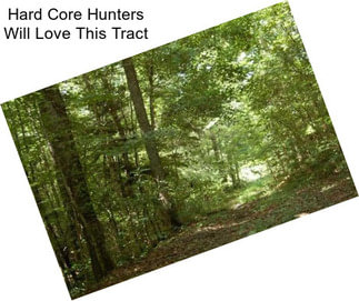 Hard Core Hunters Will Love This Tract